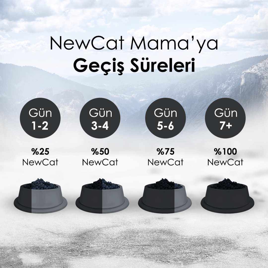 Newcat Tavuklu Yetişkin Kedi Maması 15 Kg