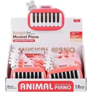 8896-1B KUTUDA 12Lİ PİLLİ PİANO -CN