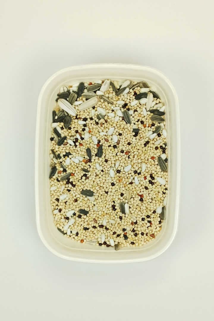 Sultan Papağanı Karışık Doğal Taze Kuş Yemi - 5 kg