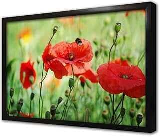 Kırmızı Çiçek Çerçeveli Cam Tablo 30x40 cm CA03644