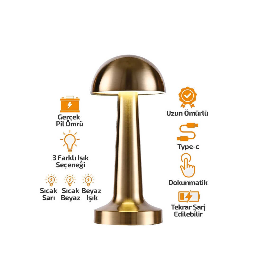 OVAL - METAL MANTAR MASA LAMBASI DOKUNMATİK - RENKLİ TYPE-C ŞARJLI 3 FONKSİYONLU YL86-1231 (5430)