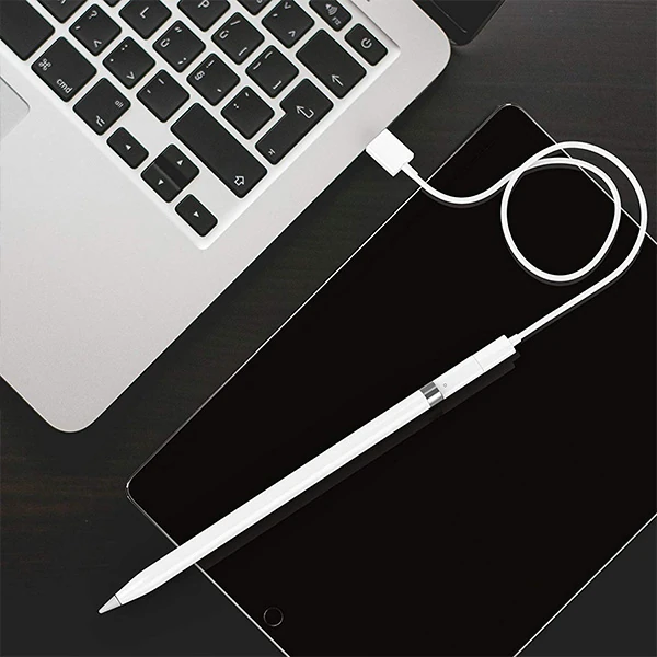 Ally Apple Pen Pencil Kalem Usb Şarj Cihazı Lightning Adaptörü-(5775)