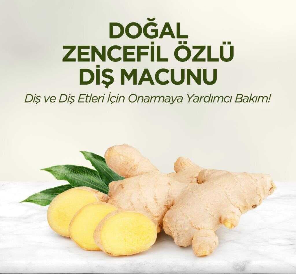 Doğal Diş Macunu 90 Gr Zencefil Özlü