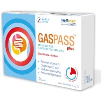 Wellcare Gaspass Plus 20 Tablet