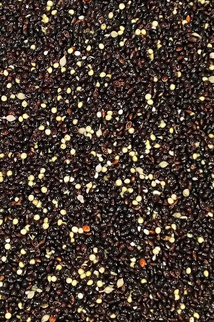 Siyah Darı Sade Tozsuz Doğal Taze Kuş Yemi - 10 kg