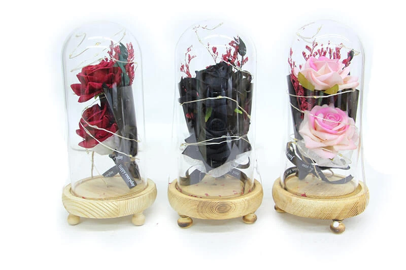 Fanus Çiçek 19/10cm