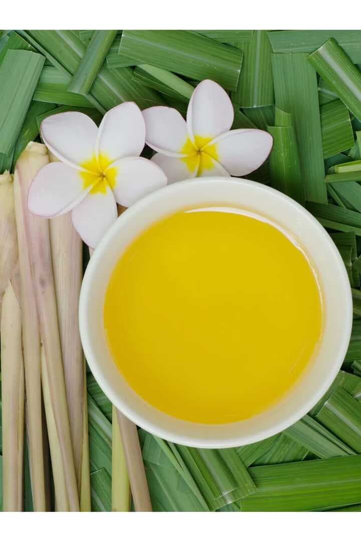 Sinek Kovucu Mum, Haşere Kovucu Mum, 150 Gr. Teneke Mum