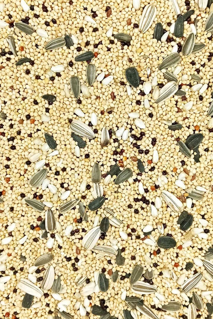 Sultan Papağanı Karışık Doğal Taze Kuş Yemi - 5 kg