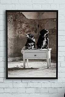 (11760) Köpek Hayva Çerçeveli Tablo (30 X 40cm)