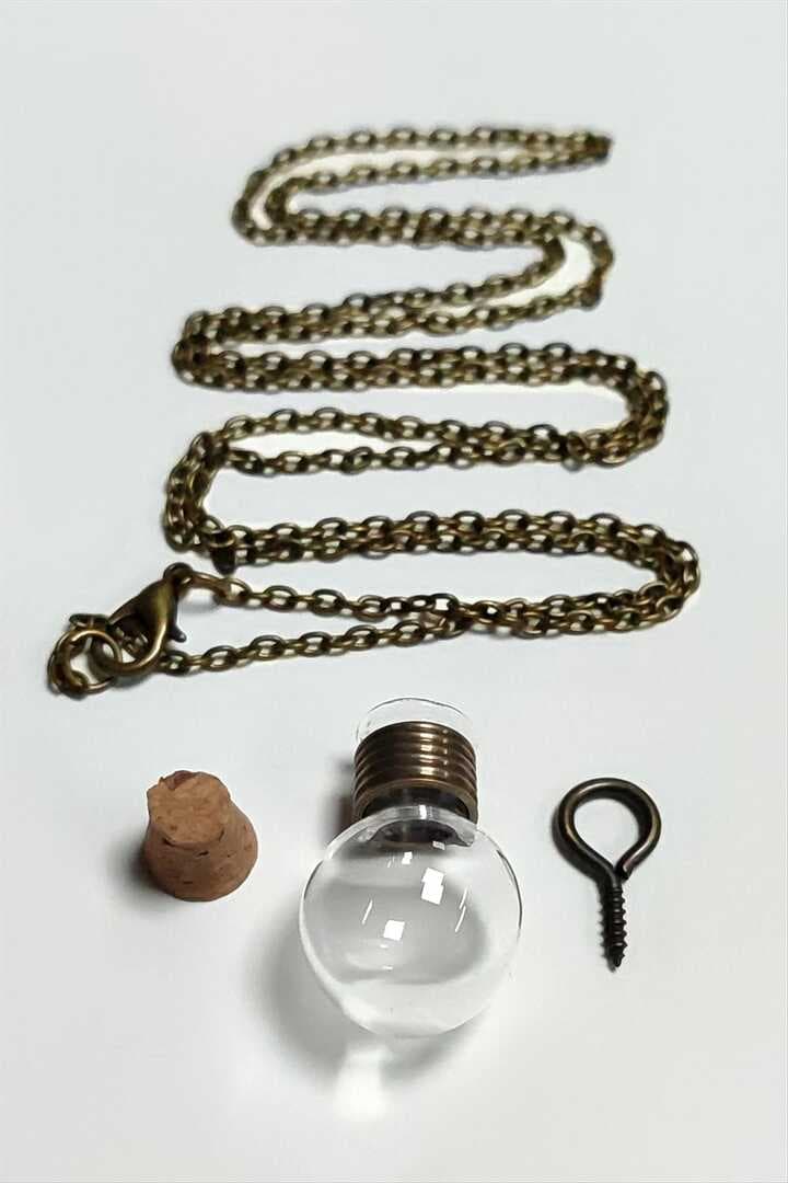 Boş Fanus Canlı Kolye