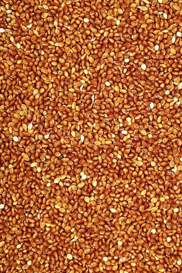 Kırmızı Darı Sade Tozsuz Doğal Taze Kuş Yemi - 500 gr