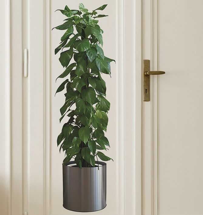 Nessiworld Saksılı Bitki Tasarımlı Yapışkanlı Sticker Resim 90*30 cm MC-665