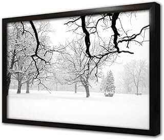 Karlar Altıda Kalmış Orma Çerçeveli Cam Tablo 30x40 cm CA20250
